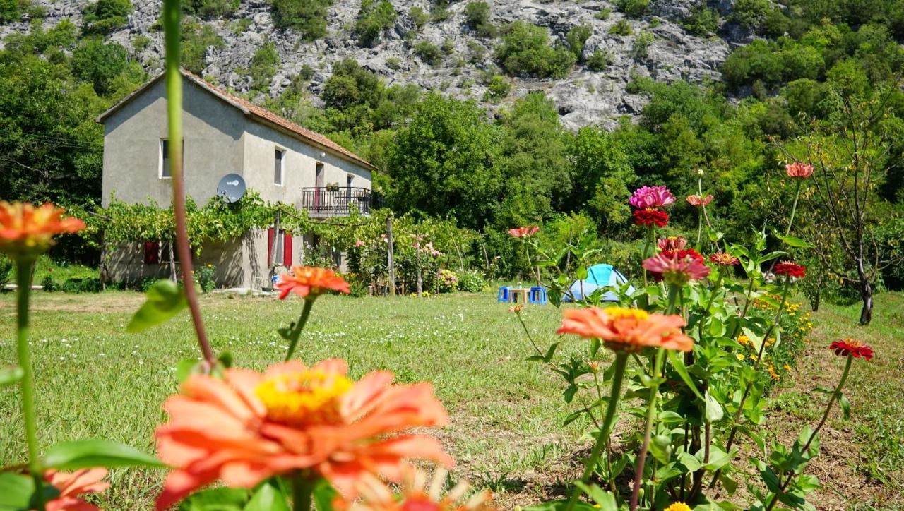 Отель Camp Podkraj Вирпазар Экстерьер фото
