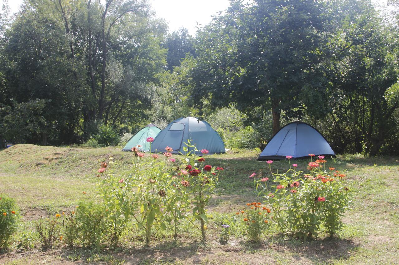 Отель Camp Podkraj Вирпазар Экстерьер фото